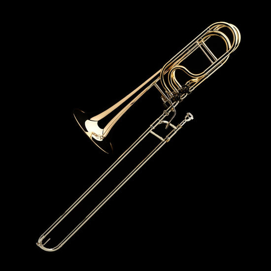 Trombón bajo de dos pistones profesional – PBF565 P