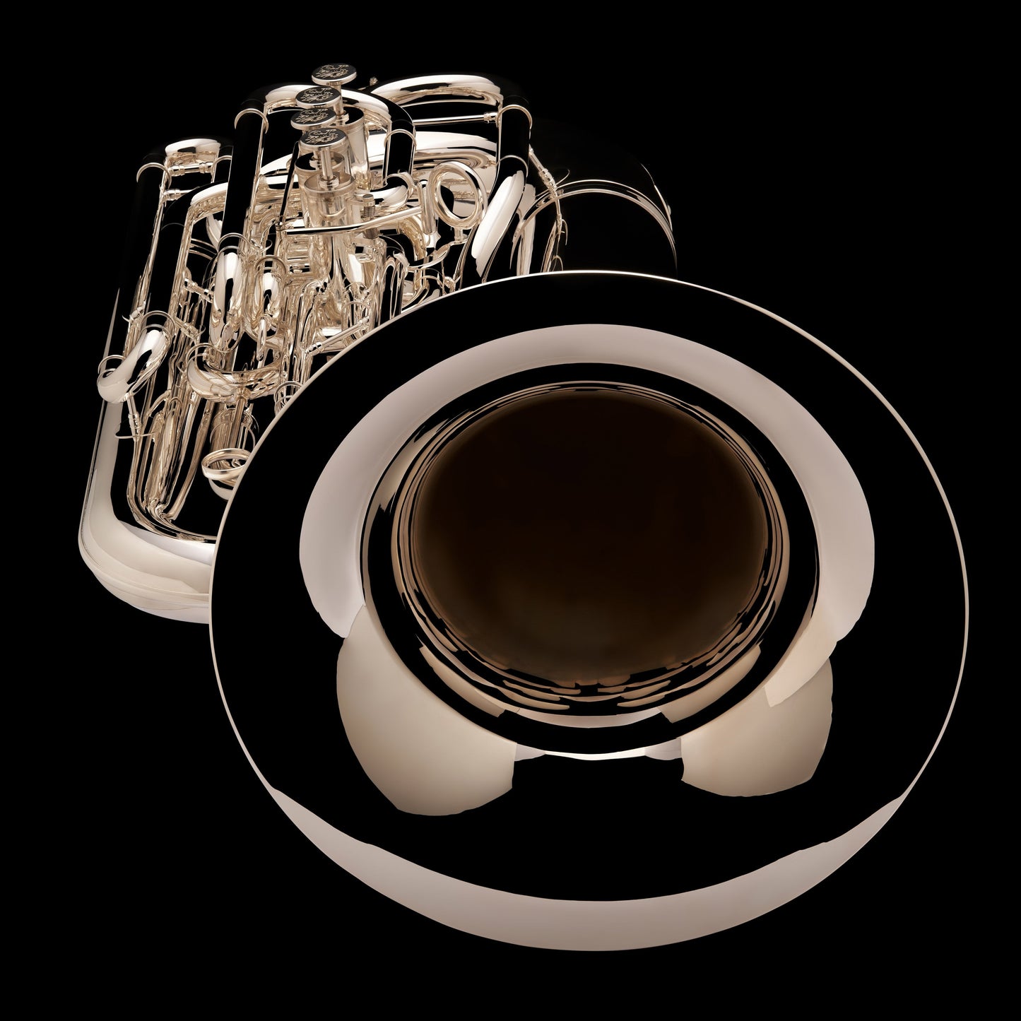 6/4 Es-Tuba „Tubby“ – TE665HP
