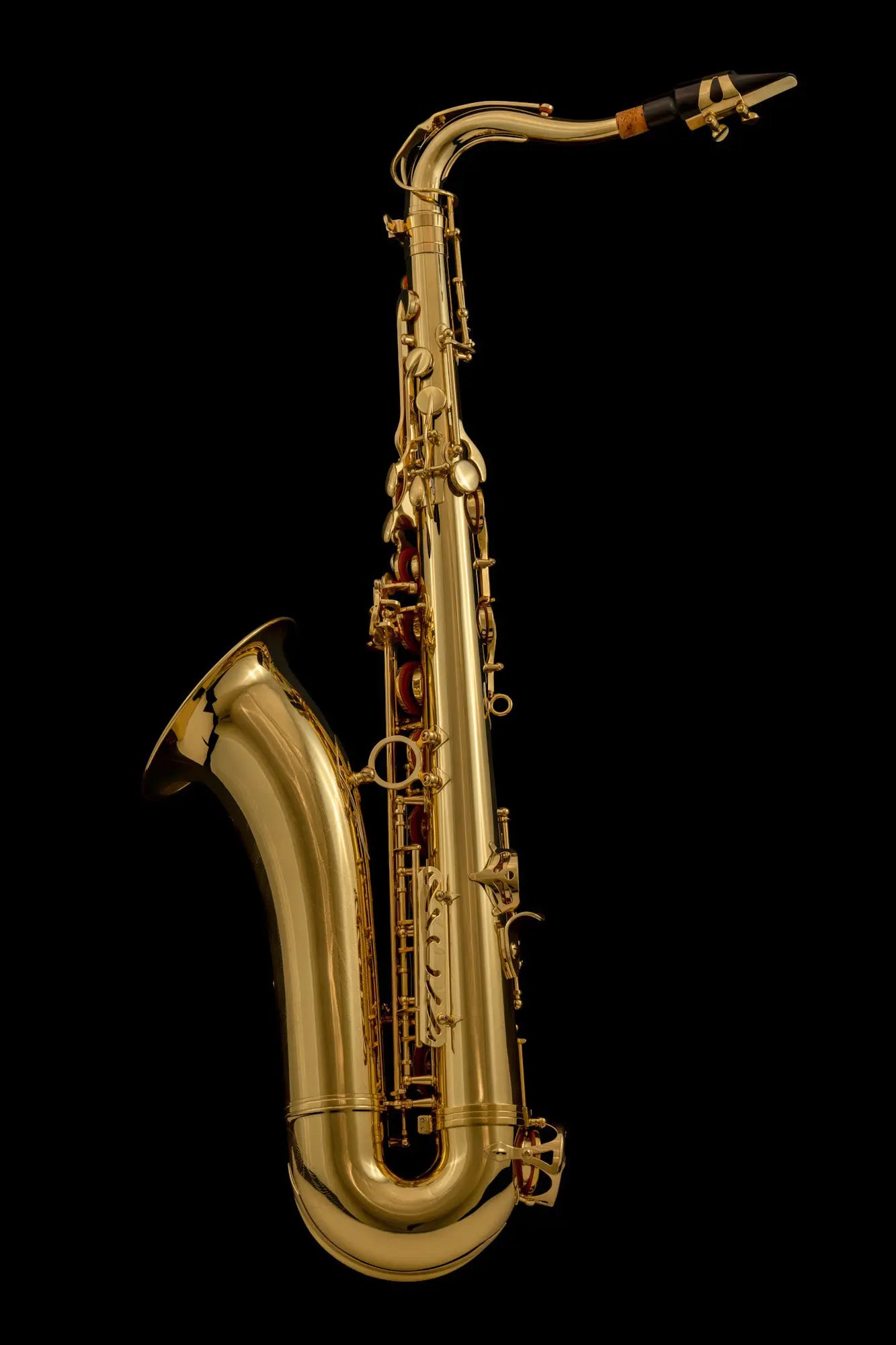 Tenorsaxophon – SAX100