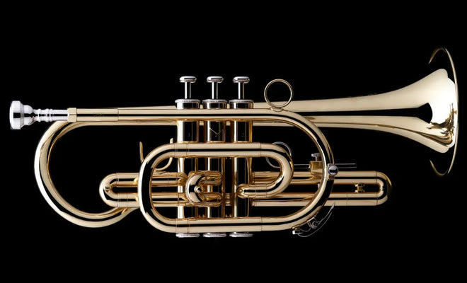 High school band brass instruments