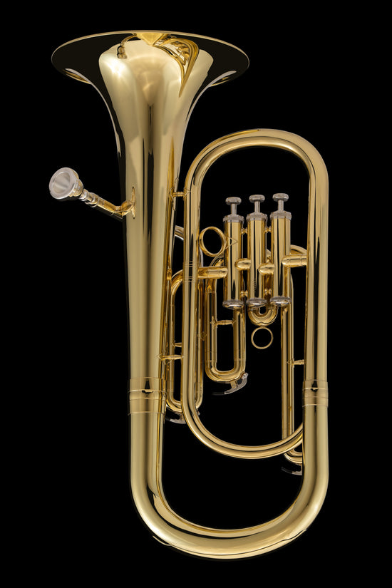 Bb Baritone (student) – BR12