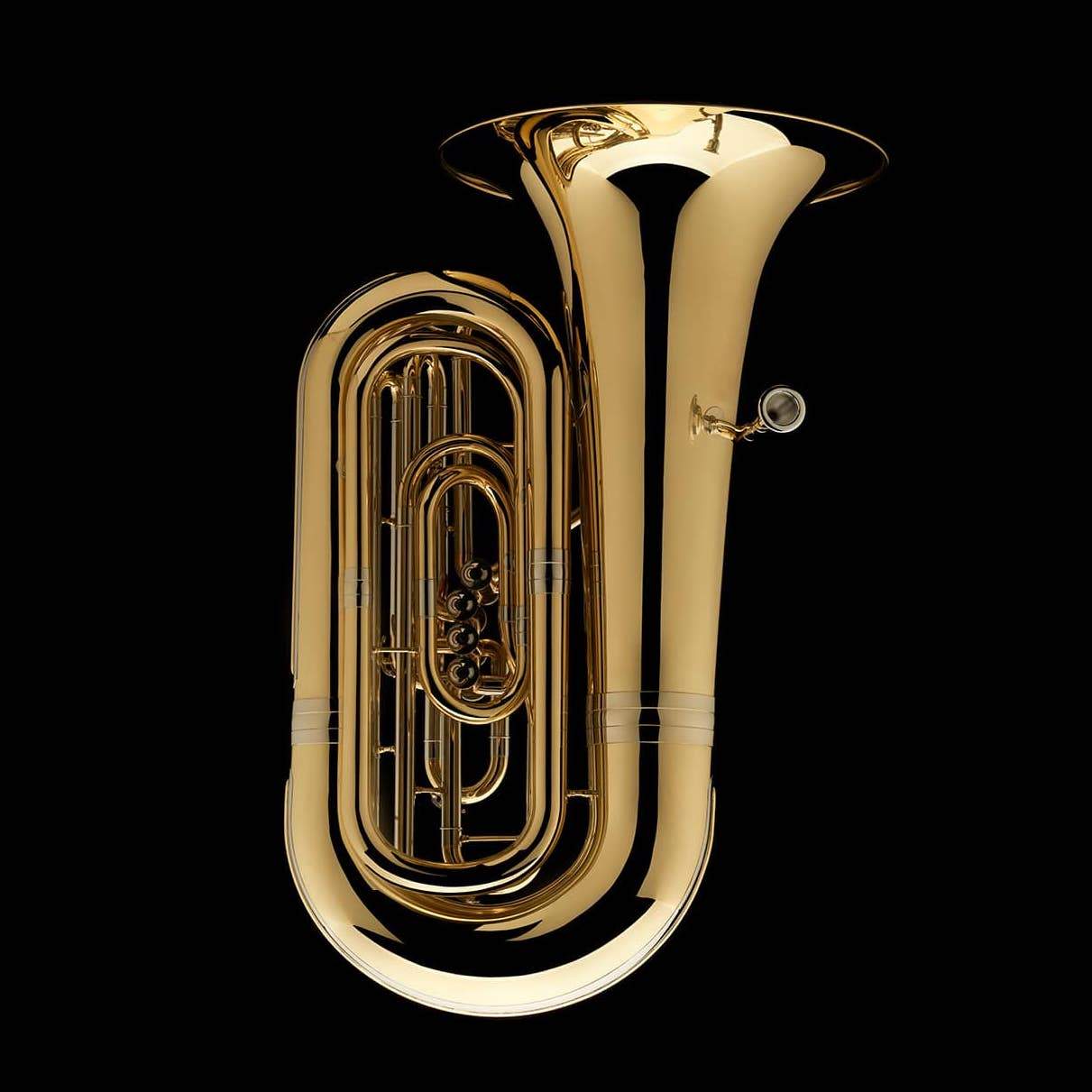 BBb 4/4 Tuba with 4-valves 'Dragon' - TB484