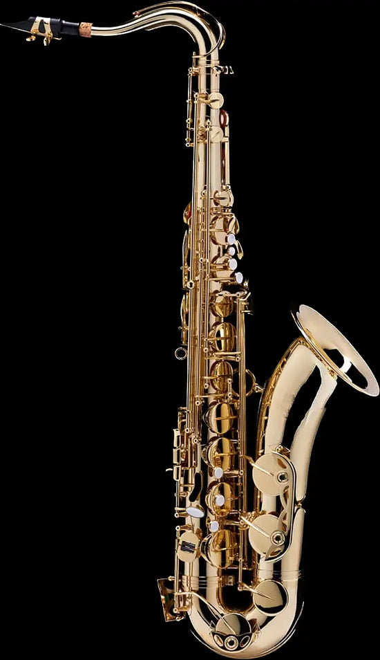 Tenor Saxophone – SAX100